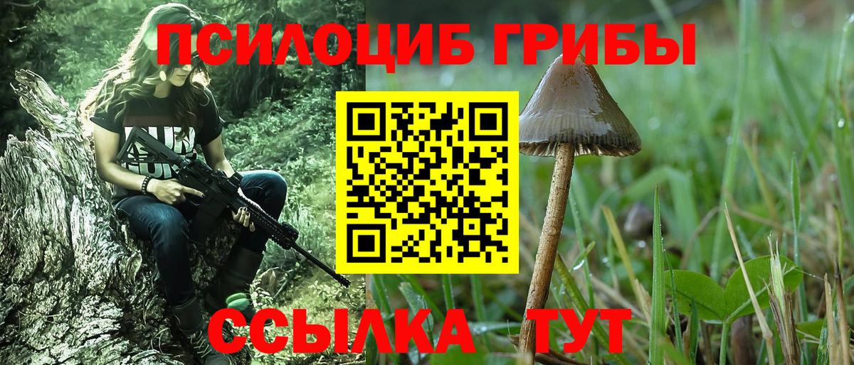 Каменск-Шахтинский  Псилоцибиновые грибы ЛСД  Вход с VPN 
